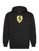 Ferrari Race Big Shield Hoodie Sport Sport Clothing Sport Sweatshirts & Hoodies Sport Hoodies Black PUMA Motorsport