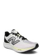 New Balance Freshfoam Arishi V4 Sport Sport Shoes Sport Running Shoes Grey New Balance