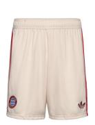 Fc Bayern 2024/2025 3Rd Short Sport Sport Clothing Sport Shorts Sport Training Shorts Beige Adidas Performance