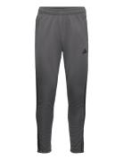 Tr-Es Base 3Pt Sport Men Sport Clothing Sport Pants Sport Sweatpants Grey Adidas Performance