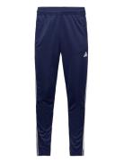 Tr-Es Base 3Pt Sport Men Sport Clothing Sport Pants Sport Sweatpants White Adidas Performance