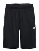 Camo Short Sport Sport Clothing Sport Shorts Sport Training Shorts Black Adidas Performance