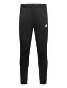 Adidas Train Essentials Camo Training Pant Sport Men Sport Clothing Sport Pants Sport Training Pants Black Adidas Performance