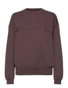 Palmin Kendal Crew Sport Women Sport Clothing Sport Sweatshirts & Hoodies Sport Sweatshirts Brown Billabong