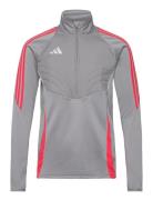 Tiro24 Wintop Sport Men Sport Clothing Sport Sweatshirts & Hoodies Sport Sweatshirts Grey Adidas Performance