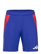 Tiro24 C Tr Sho Sport Sport Clothing Sport Shorts Sport Training Shorts Blue Adidas Performance