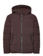 Wbjoseph Tech Jacket Designers Jackets Padded Jackets Brown Woodbird