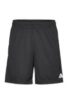 Bos Short Sport Men Sport Clothing Sport Shorts Sport Training Shorts Black Adidas Performance