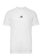 Seamless Aeroready Freelift T- Sport Men Men Sports Clothes Sport Tops Sport T-Skjorte White Adidas Performance