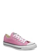 Chuck Taylor All Star Sport Women Sport Shoes Sport Sneakers Sport Low Top Sneakers Pink Converse