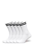 5-Pk Tennis Socks With Stripes Sport Sport Clothing Sport Socks White ZEBDIA