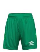 Liga Shorts Jr Bottoms Shorts Sport Shorts Green Umbro