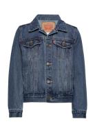 Dj-Denim Jackets Outerwear Jackets & Coats Denim & Corduroy Blue Levi's