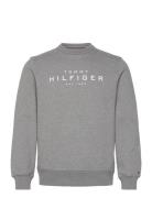 Tommy Hilfiger Sweatshirt Tops T-Langærmet Skjorte Grey Tommy Hilfiger