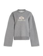 Reg Varsity C-Nk Wide Slv Tops Sweatshirts & Hoodies Sweatshirts Grey Tommy Hilfiger