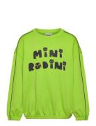 Mini Rodini Cats Sp Sweatshirt Tops Sweatshirts & Hoodies Sweatshirts Green Mini Rodini