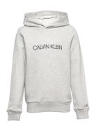 Institutional Logo Hoodie Tops Sweatshirts & Hoodies Hoodies Grey Calvin Klein