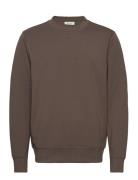 Cfsebastian Crew Neck Sweat Tops Sweatshirts & Hoodies Sweatshirts Brown Casual Friday