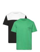 2P Color Block T-Shirt Tops T-Kortærmet Skjorte Green Calvin Klein