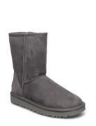 W Classic Short Ii Shoes Boots Ankle Boots Ankle Boots Flat Heel Grey UGG