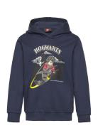 Lwscout 706 - Sweatshirt Tops Sweatshirts & Hoodies Hoodies Navy LEGO Kidswear