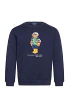 Polo Bear Fleece Sweatshirt Tops Sweatshirts & Hoodies Sweatshirts Navy Ralph Lauren Kids