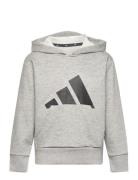 J Bl Ft Hd 280 Tops Sweatshirts & Hoodies Hoodies Grey Adidas Sportswear