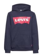 Levi's® Batwing Screenprint Hooded Pullover Tops Sweatshirts & Hoodies Hoodies Blue Levi's