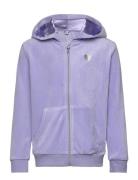 Hoodjacket Velour Solid Tops Sweatshirts & Hoodies Hoodies Purple Lindex