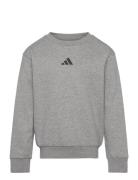 J Allszn Gfx Sw Sport Sweatshirts & Hoodies Sweatshirts Grey Adidas Sportswear