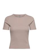 Ease Ribbed Short Sleeve Sport Women Sport Clothing Sports Tops & T-shirts Sport T-Skjorte Beige Aim´n