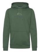 F2F Organic Cotton Hoodie Tops Sweatshirts & Hoodies Hoodies Green Helly Hansen