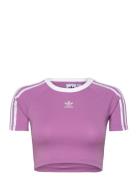 3 S Baby Tee Sport Crop Tops Short-sleeved Crop Tops Purple Adidas Originals