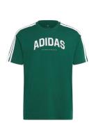 M C Colleg Tee Sport Men Sports Clothes Sport Tops Sport T-Skjorte Green Adidas Sportswear