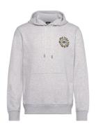 Graphic Mix Hoodie Sport Sport Clothing Sport Sweatshirts & Hoodies Sport Hoodies Grey Quiksilver