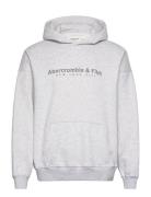 Anf Mens Mfo Tops Tops Sweatshirts & Hoodies Hoodies Grey Abercrombie & Fitch