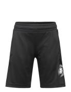 Active Sports Graphic Poly Shorts B Sport Shorts Sport Shorts Black PUMA