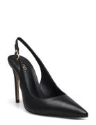 Stessysling Shoes Heels Pumps Classic Black ALDO