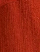 JDY - Orange - Jdyhazel S/S Shirt Wvn