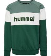 Hummel Sweatshirt - hmlClaes - Pineneedle