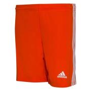 adidas Shorts Squadra 21 - Orange/Hvid Børn