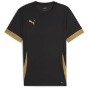 PUMA Trænings T-Shirt teamGOAL - Sort/Guld Børn